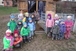 Eselfoto für Webseite