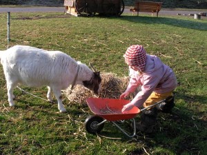 Waldkindergarten Erzieher Erzieherin Pädagogische Fachkraft Sozialpädagoge Sozialpädagogin Kindergarten